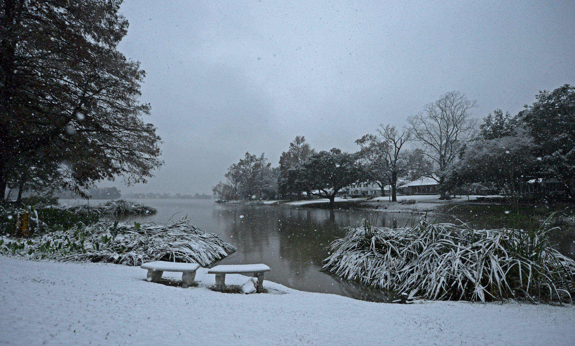BR.snow.120917 HS 516.JPG